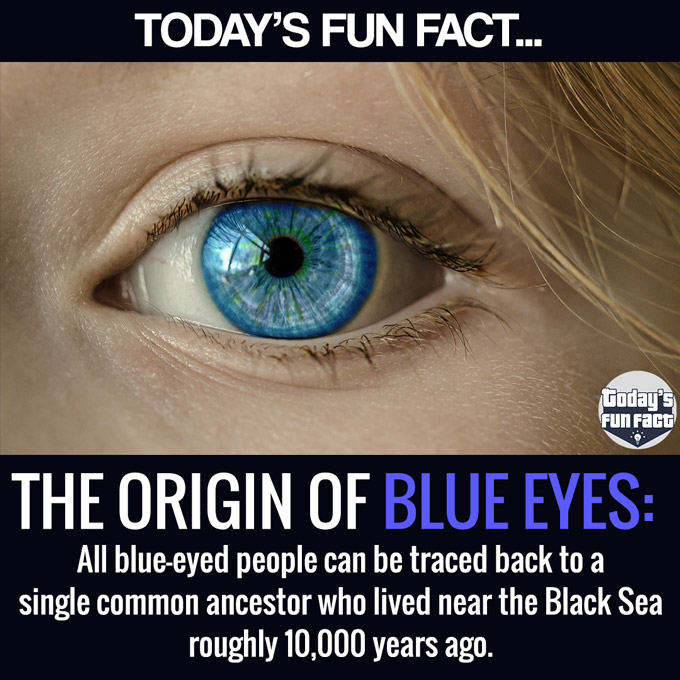 All Blue-Eyed People Can Be Traced Back To A Single Common Ancestor