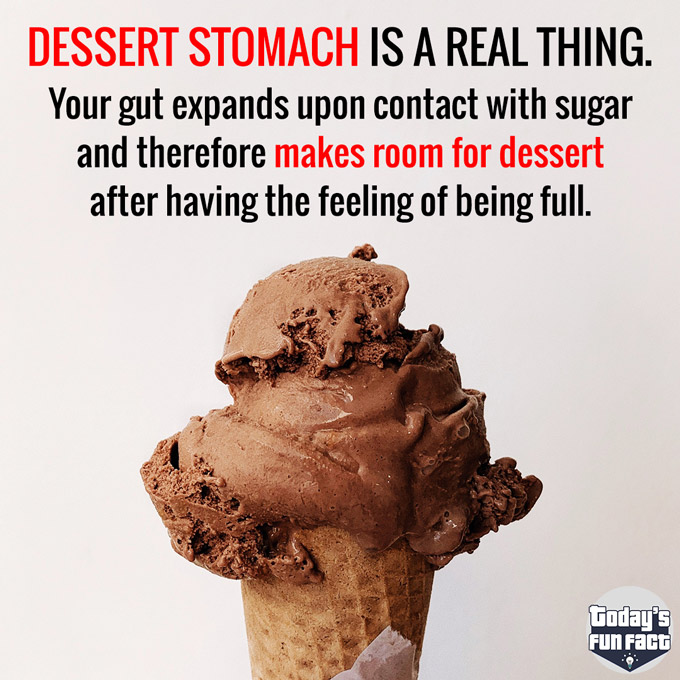 Dessert Stomach Is A Real Thing